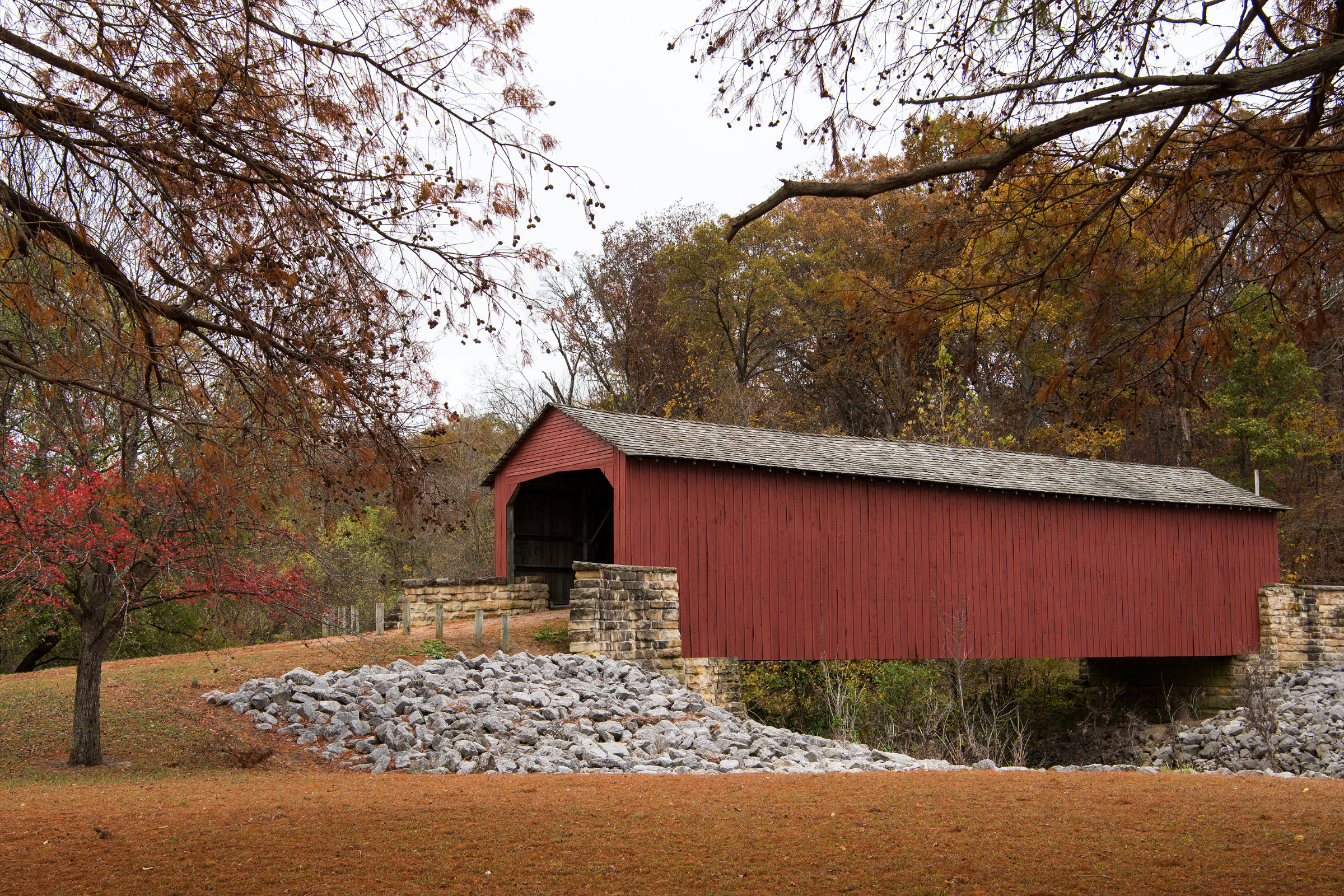 chester, illinois.webp